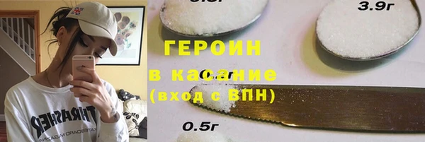 индика Михайловск