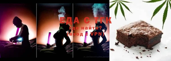 индика Михайловск