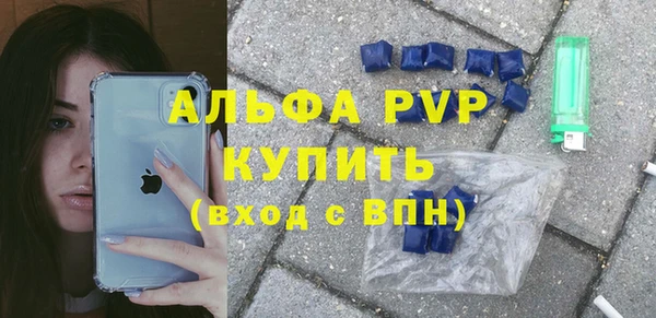 индика Михайлов