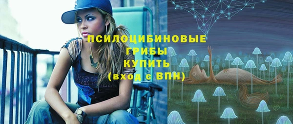 ECSTASY Михайловка