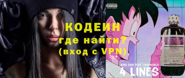 индика Михайлов