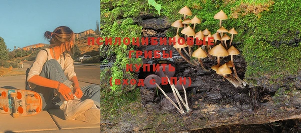 мет Надым