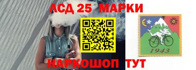 мяу мяу мука Аргун