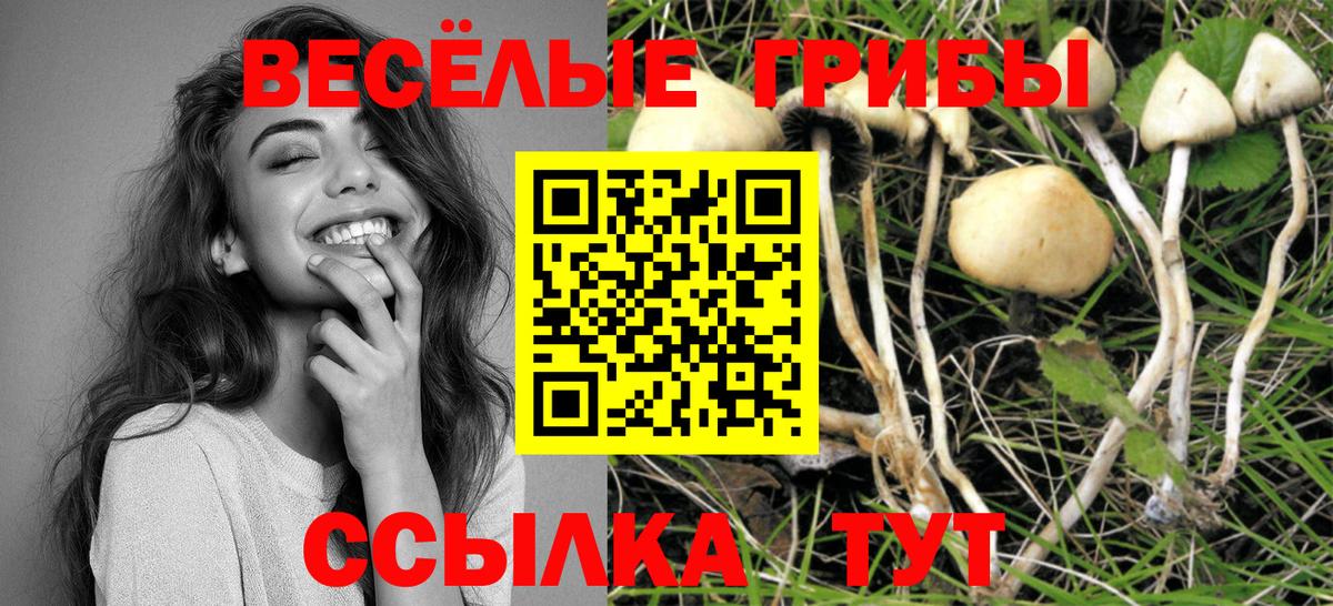 Галлюциногенные грибы MAGIC MUSHROOMS  Вход с VPN  Псилоцибиновые грибы Magic Shrooms  Новоуральск 