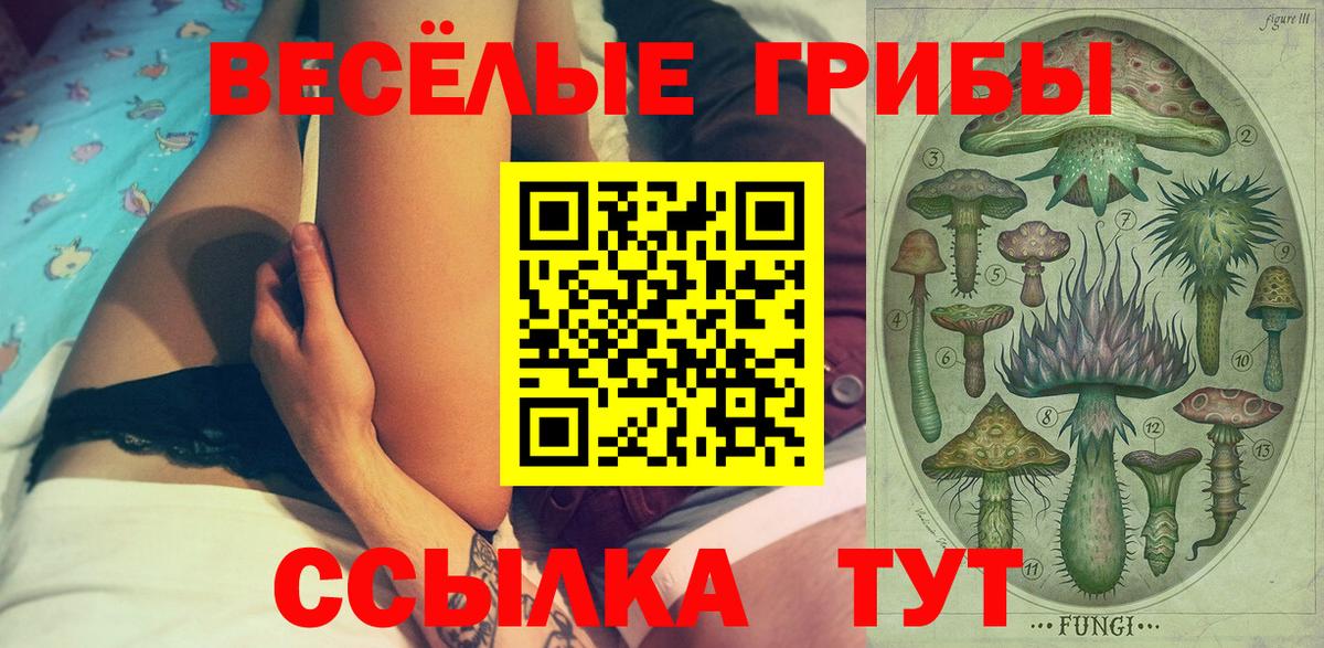 Галлюциногенные грибы Cubensis Новоуральск